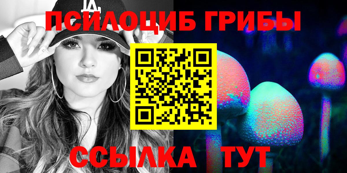 Псилоцибиновые грибы Psilocybine cubensis Гулькевичи