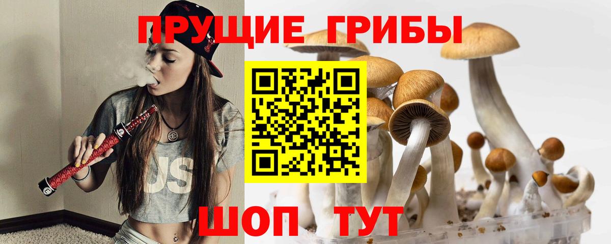 Псилоцибиновые грибы мухоморы  Вход с VPN  Гулькевичи 